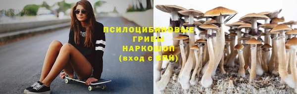 амф Алексин